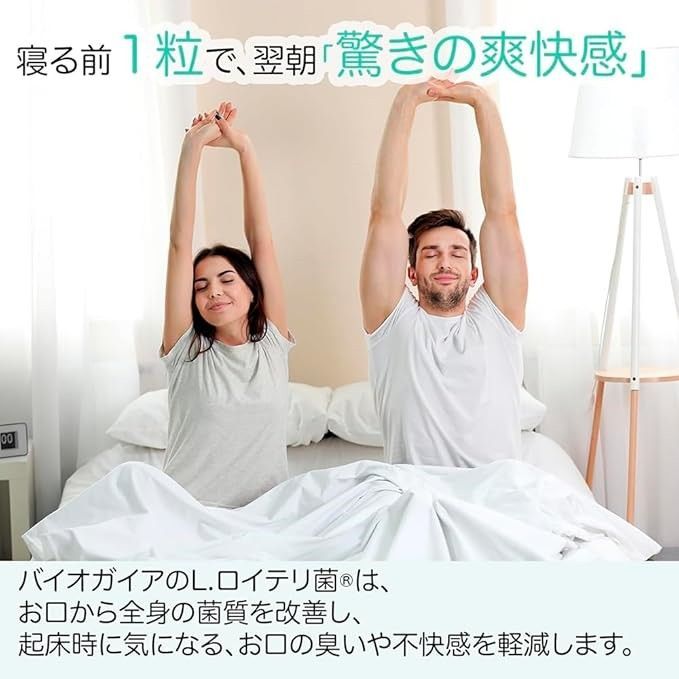 30錠 ミント味