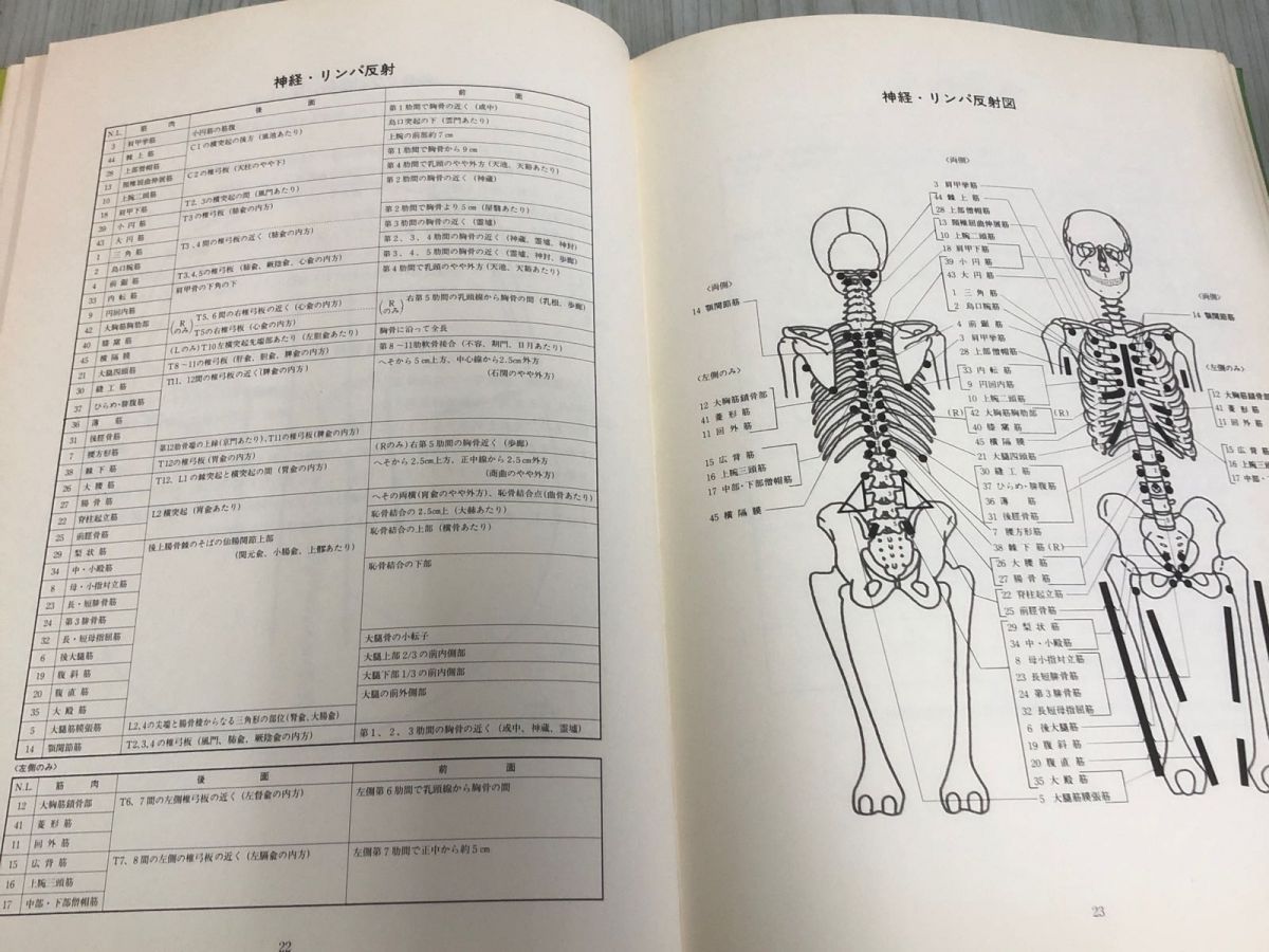 3-◇治療家のための 筋力応用治療学 アプライド キネシオロジー 基礎編 脇山得行 治療医学研究所学術部 1983年 11月12日 初版 シミ汚れ有  - メルカリ