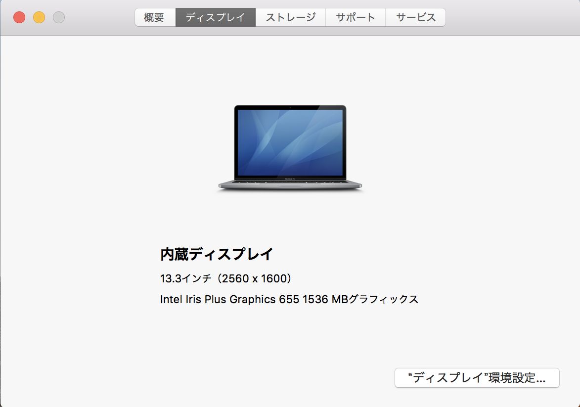 Apple MacBook Pro 2018/13インチ/2,560x1,600/IPSパネル/Intel Core i5/メモリ16GB/