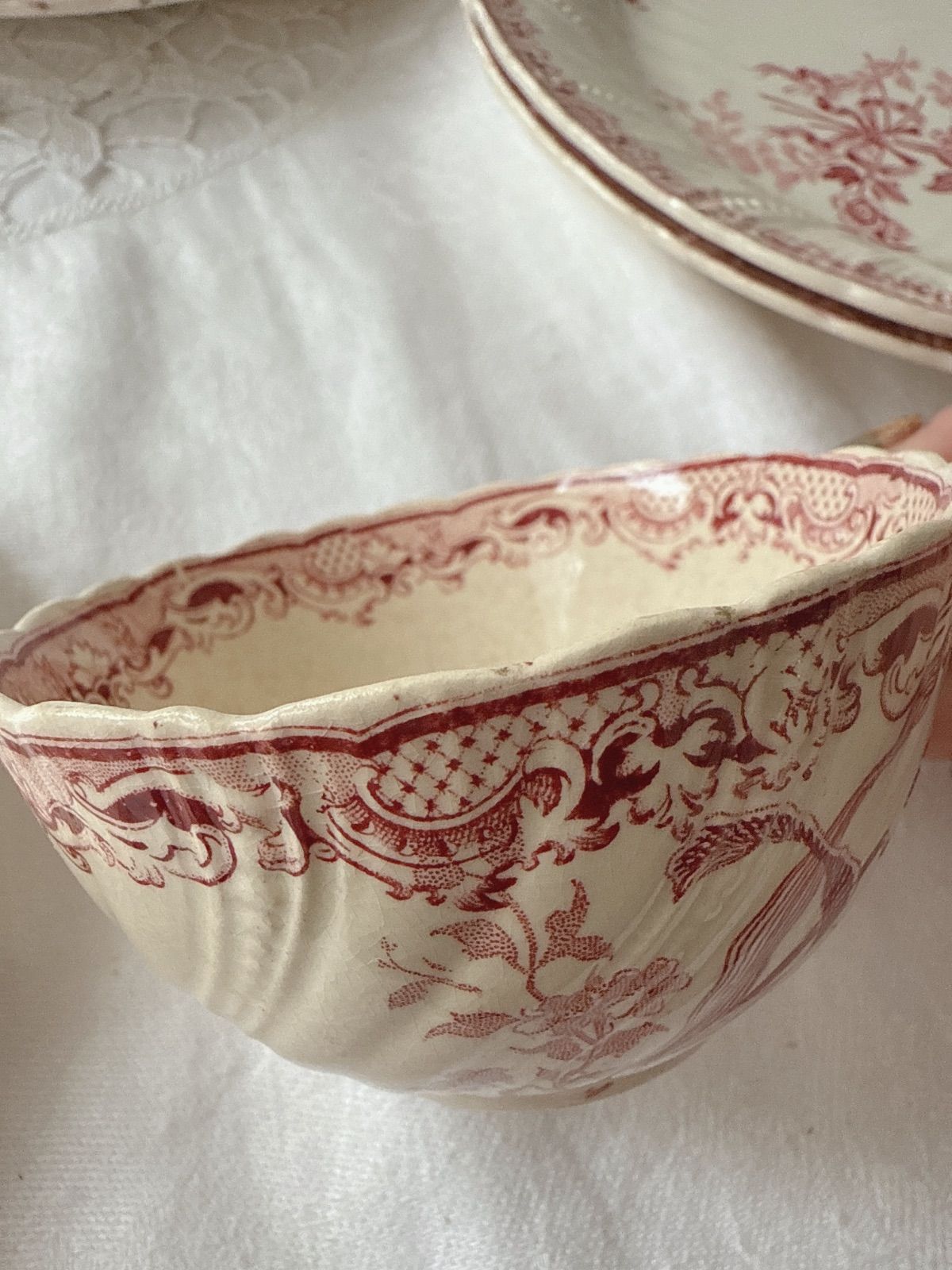 Sarregumines Fontanges サルグミンヌ フォンタンジュ ティーカップ