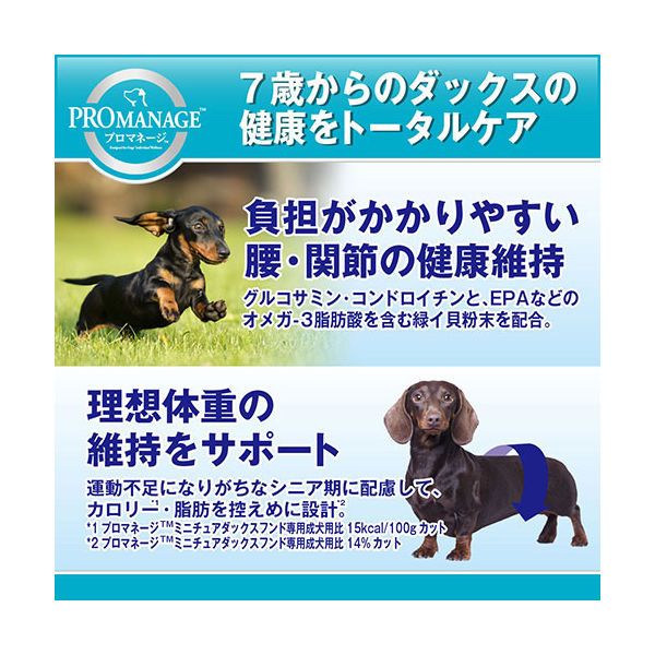 ミニチュアダックスフンド