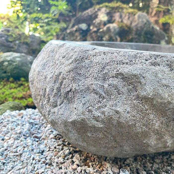 大鮑、盛花鉢、白盛山焼、 大鮑、盛花鉢、白盛山焼、