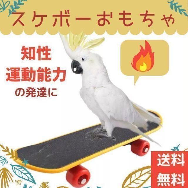 メルカリShops - お値打ち品鳥用おもちゃ スケートボード