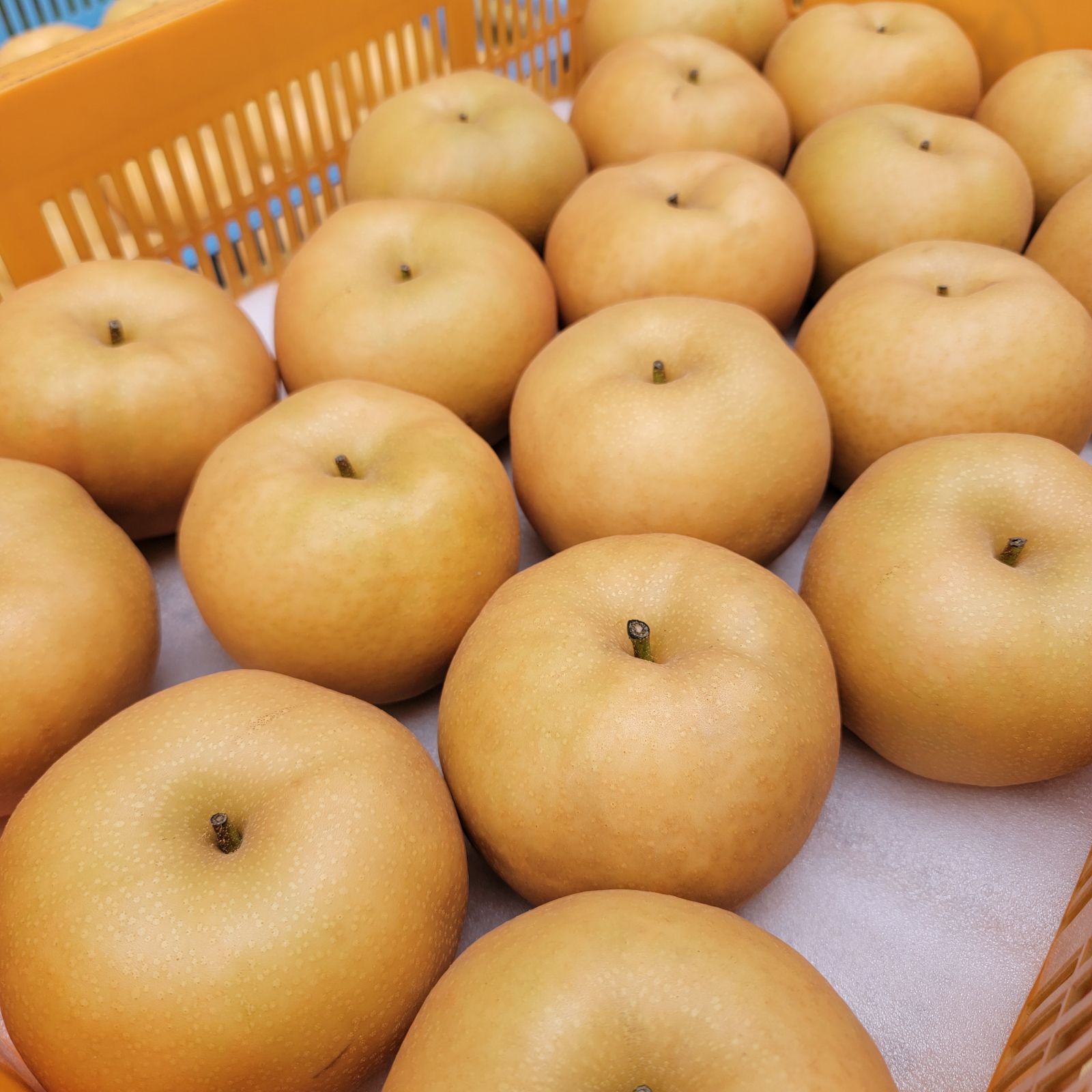 先行販売 南水10キロ 良い子 大玉 ストックどうぞ - メルカリ 先行販売 南水10キロ 良い子 大玉 ストックどうぞ - メルカリ