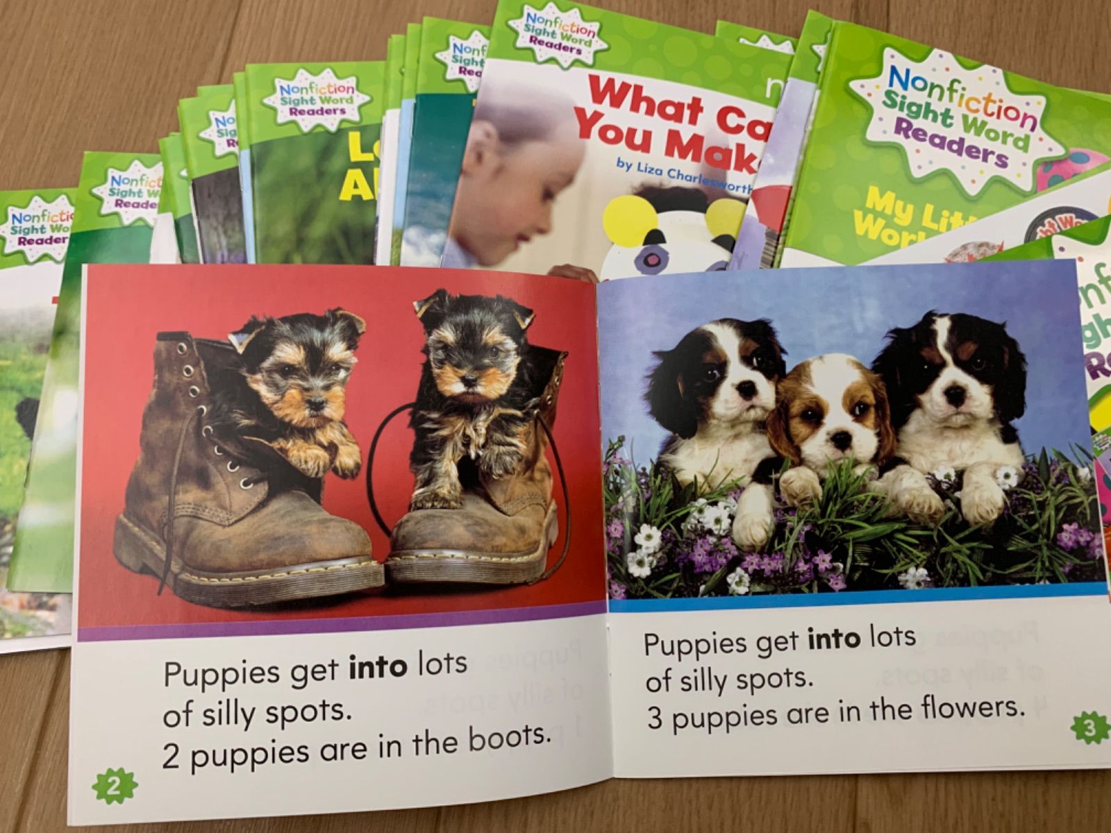 nonfiction sight word readers 64GBマイヤペン付 2025年最新】sight word readers マイヤペンの人気アイテム