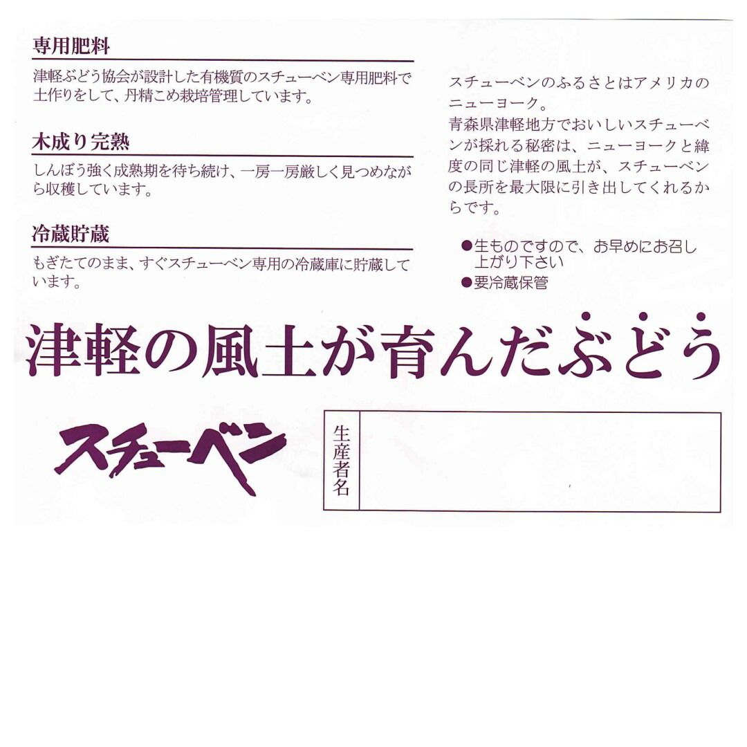 青森県産スチューベンぶどう  訳あり　２ｋｇ　送料無料