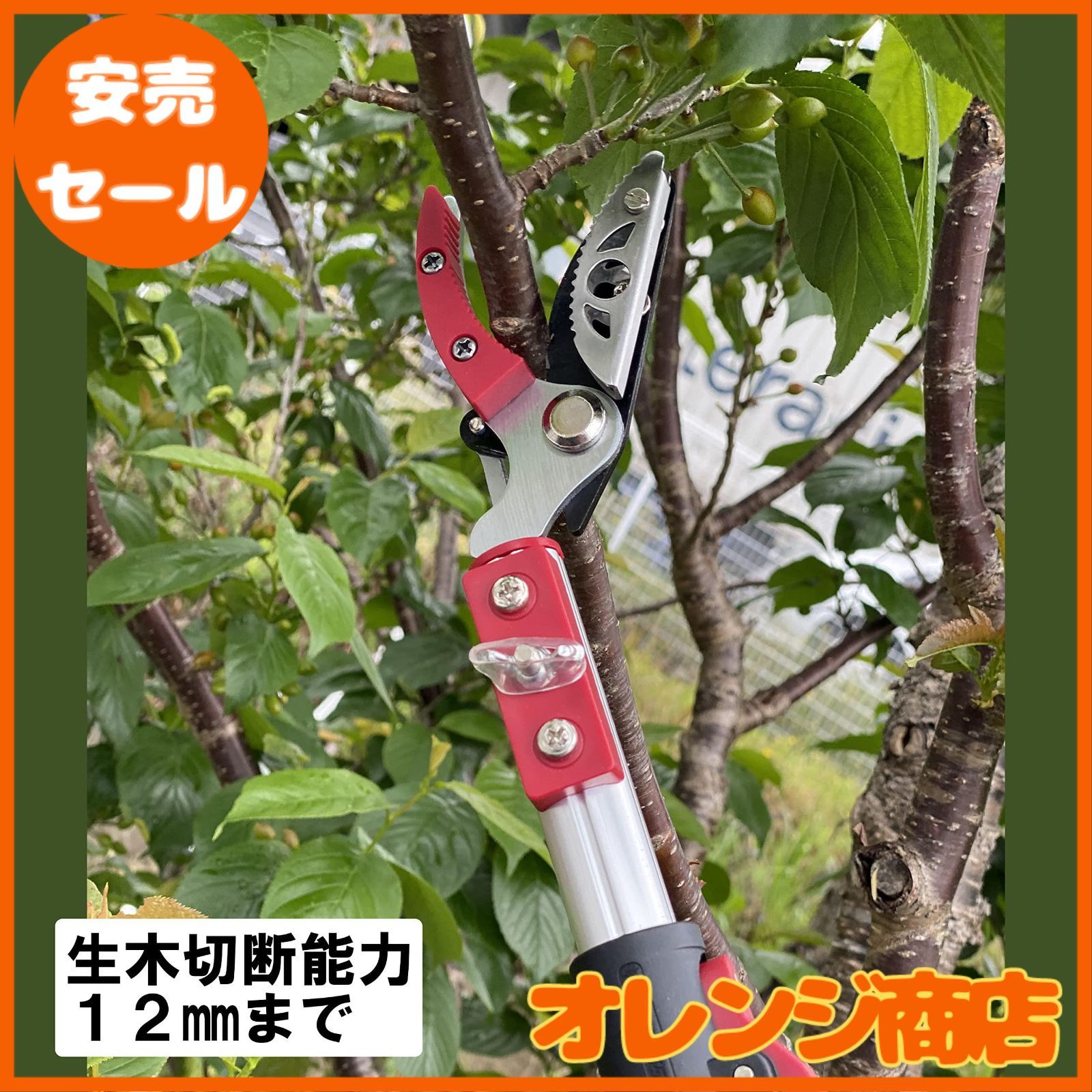 鋸付き 太枝