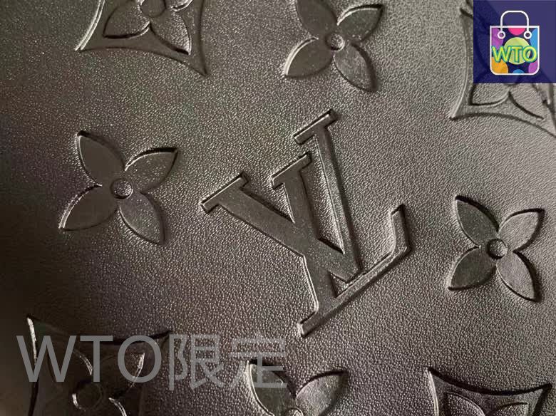 本日限定特価】ルイヴィトン LV ブラッツァ ウォレット 19×10cm