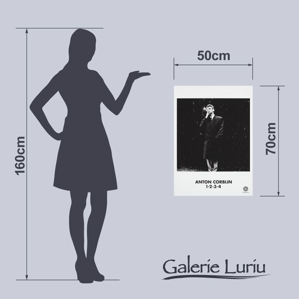 アントン・コービン展 海外ポスター 70×50 Anton Corbijn 現地完売/在庫のみ】『アントン・コービン×デヴィッド・ボウイ