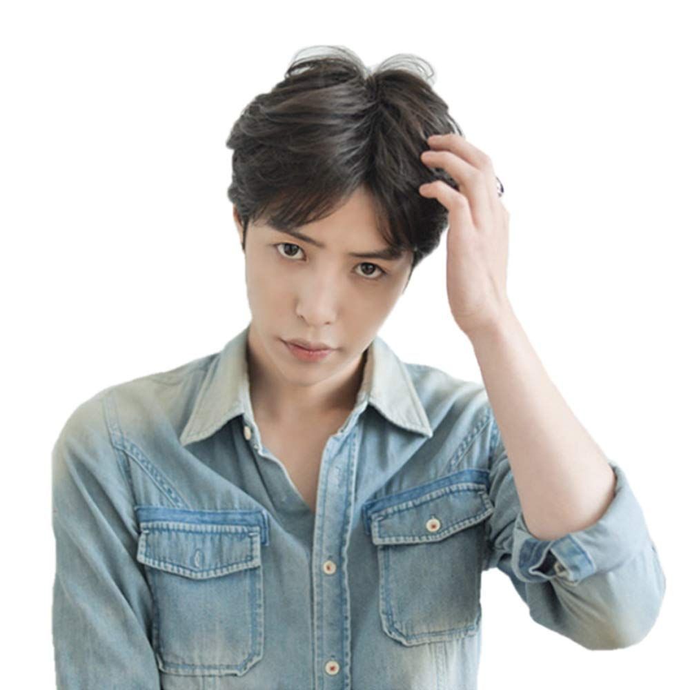 在庫処分 自然 人気 通気 減齢 医療用ウィッグ 人毛かつら ハンサム 短い 男性 フリーサイズ 手植え 人毛100％ wig フルウィッグ ショート 自然 ヘアネット メンズ ウィッグ 付き P-Z