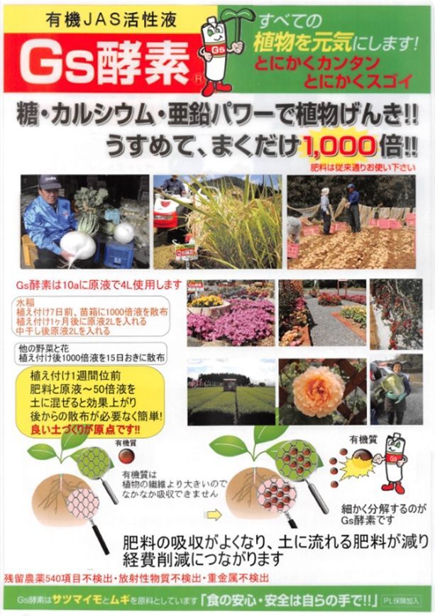 ＊Gs酵素-10L×1箱