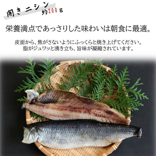 冬ギフト お年賀