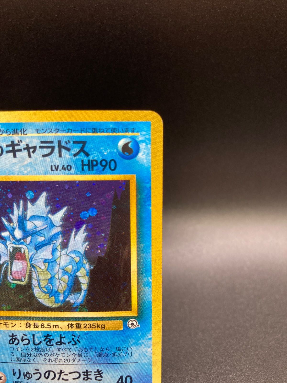 サカキのギャラドス Gyarados 旧裏 旧裏面 old back ポケモンカード