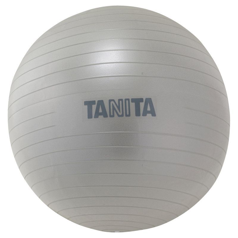 【ギフト】タニタ タニタサイズ ジムボール TS-962SV