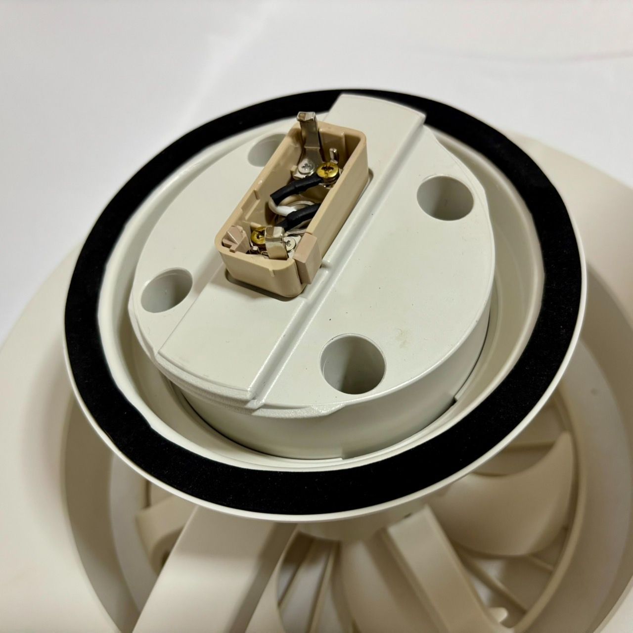 サーキュライト