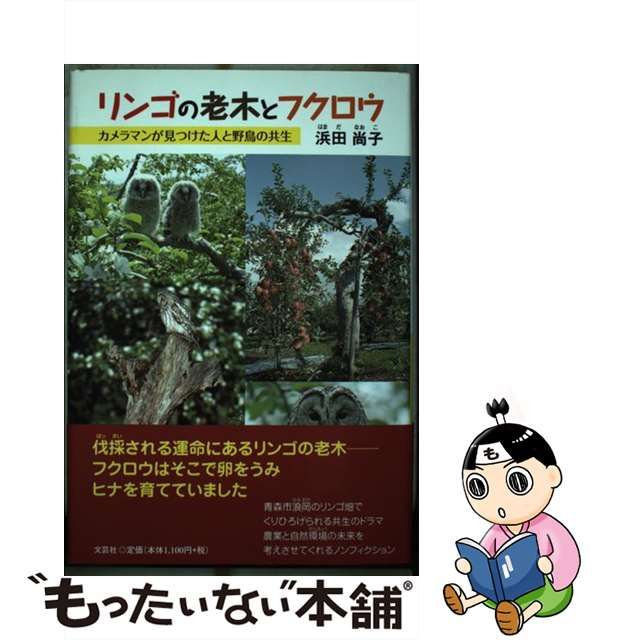 リンゴの老木とフクロウ カメラマンが見つけた人と野鳥の共生/文芸社/浜田尚子