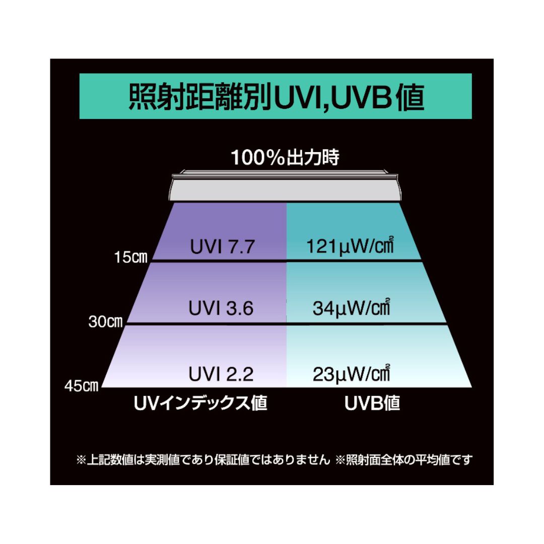 UV LED