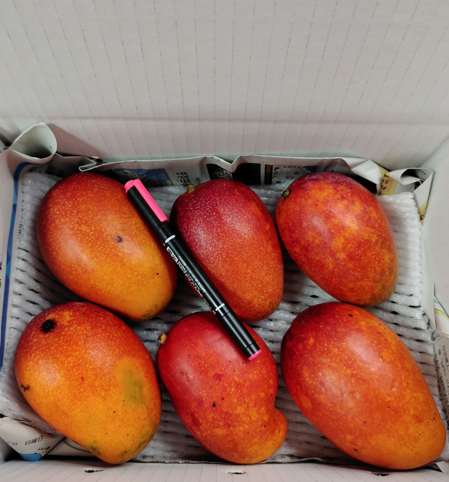 ◉家庭用•訳あり 9◉ 約1.2kg〜1.5kg（5〜7玉） 沖縄産 完熟