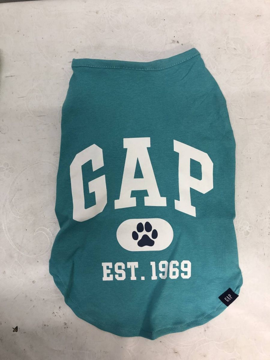 GAPロゴ