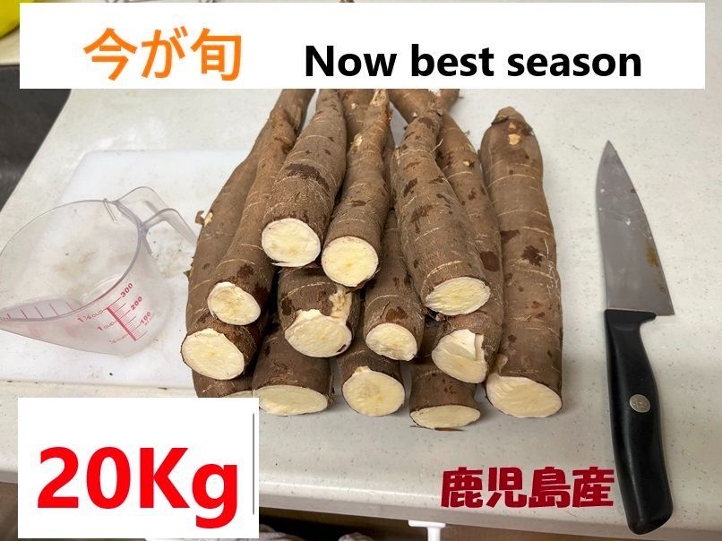 キャッサバ芋　キャッサバ　ユカ　マンジョッカ　２０Ｋg 　Ｃａｓｓａｖａ　Yuca、Ｍａｎｄｉｏｃａ