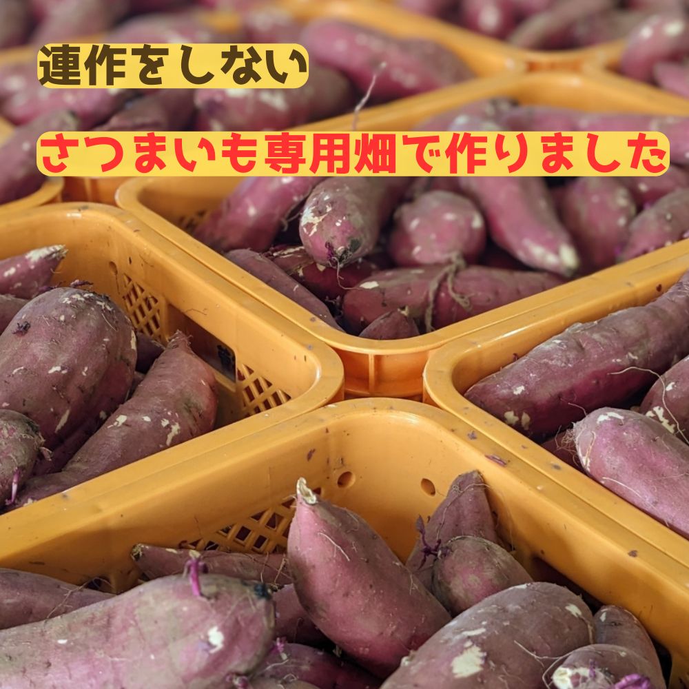 スーパーフード