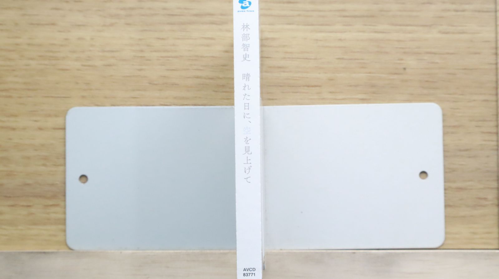国内盤CD☆林部智史/satoshi hayashibe□ 晴れた日に、空を