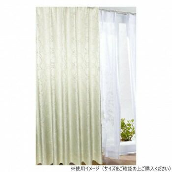 カーテン カールス 2P 100X215 IV 725861000215061