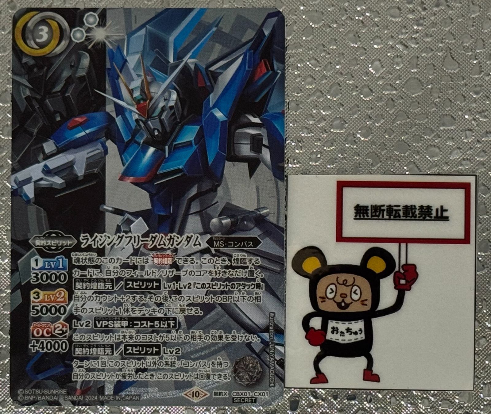 CT45 ライジングフリーダムガンダム 契約X CBX01-CX01 SECRET BS