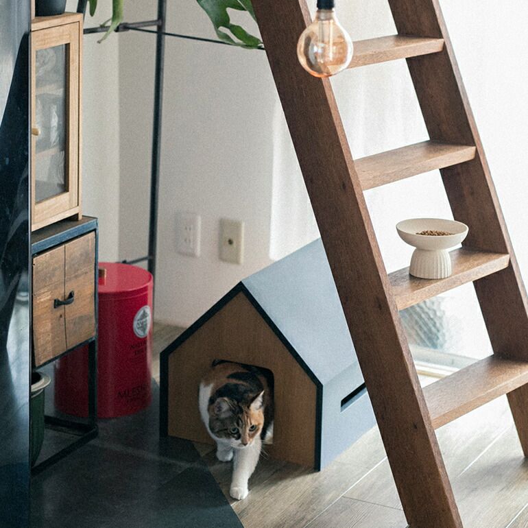 - CAT アンドキャット HUTTE キャットハウス ペットハウス ペット用小屋 木製 猫犬 ペット用品 おしゃれ ナチュラル インテリア 日本製 STEELWINDOWSANDDOORS_COM