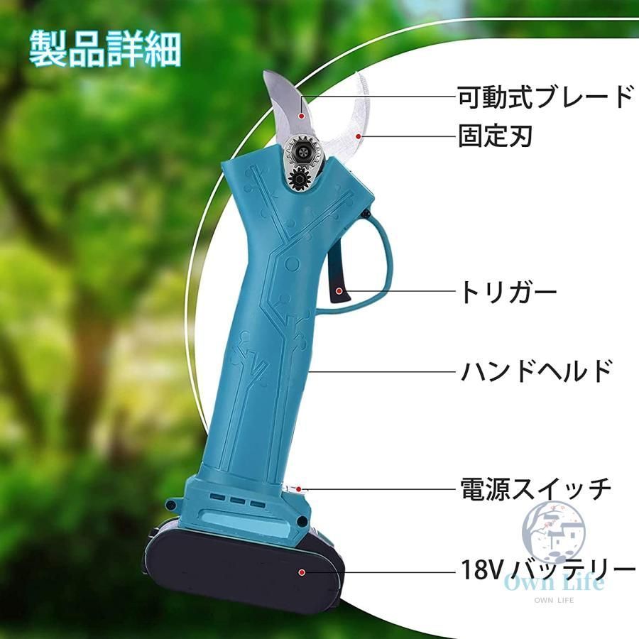 本体のみ