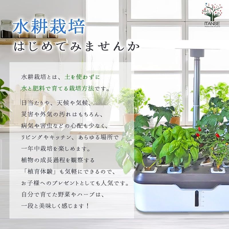 肥料|種子付き 春夏秋用野菜-ハーブ種子Aセット