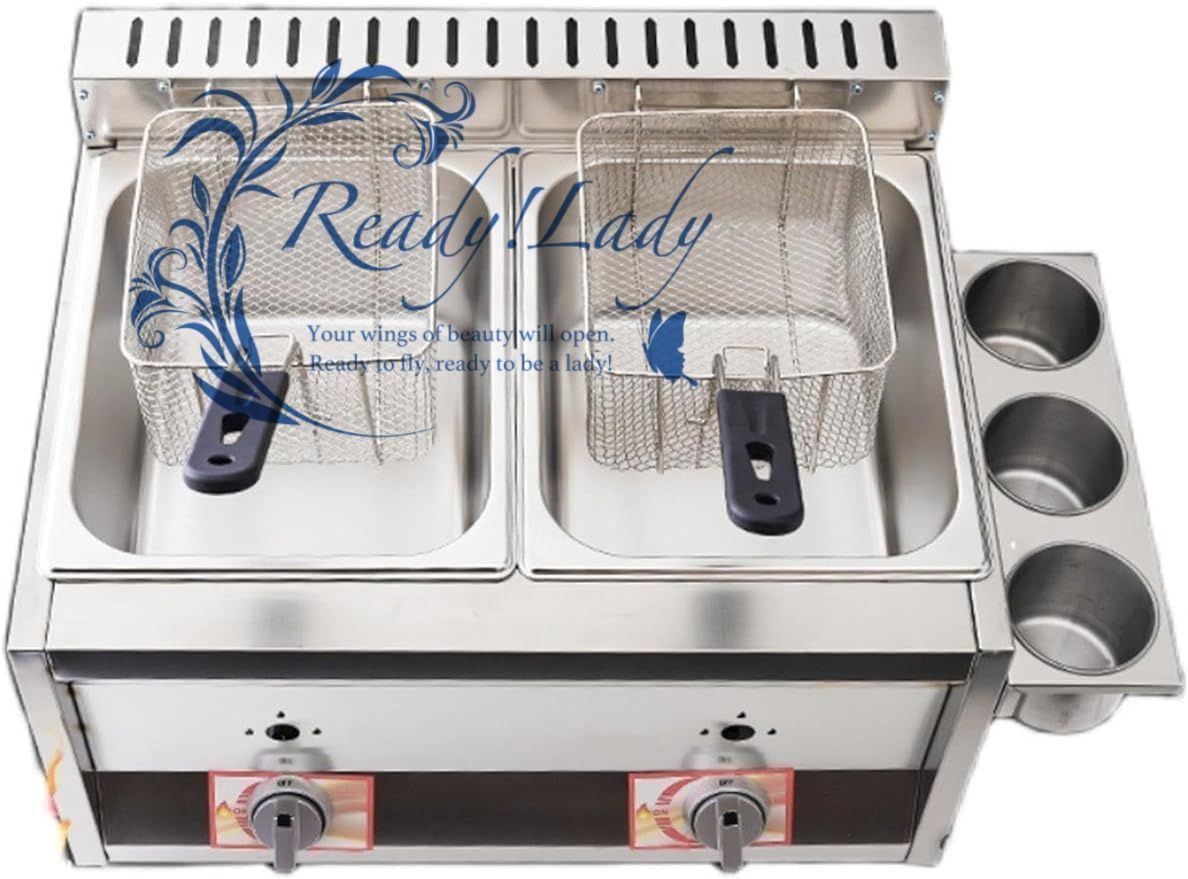 大型 ガスフライヤー LPガス用プロのガスフライヤー 10L * 2バスケットと蓋付業務用家庭用キッチン用金属管付きステンレス鋼カウンタートッププロパン厨房機器 揚げ物 フライドポテト ポップコーン 温度調整機能