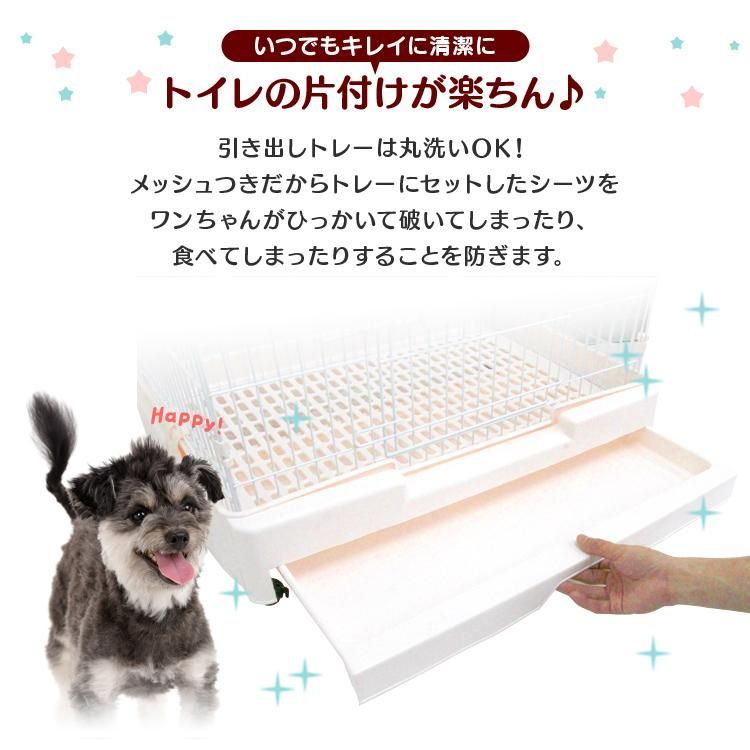 猫 犬