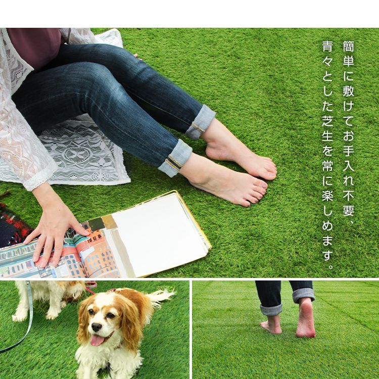 芝丈30mm 固定ピン