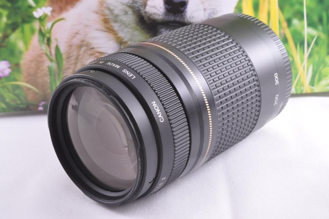 Canon EF75-300mm キヤノン 望遠レンズ 各種イベントに大活躍！ - メルカリ