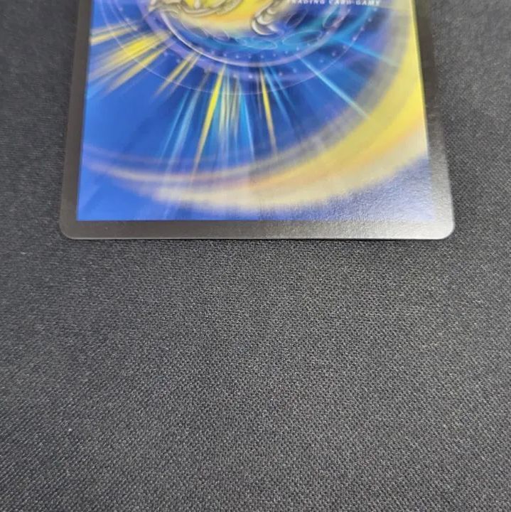 水上第九院シャコガイル b - メルカリ