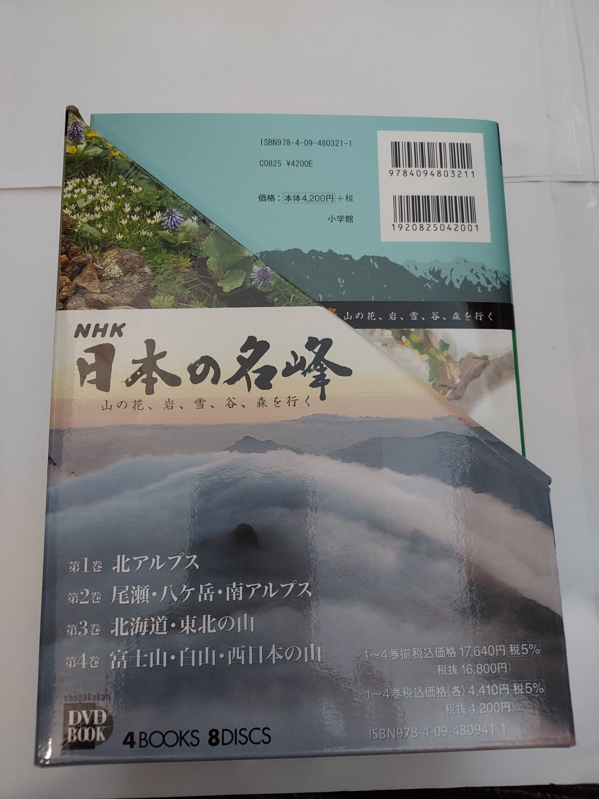 山の花 岩
