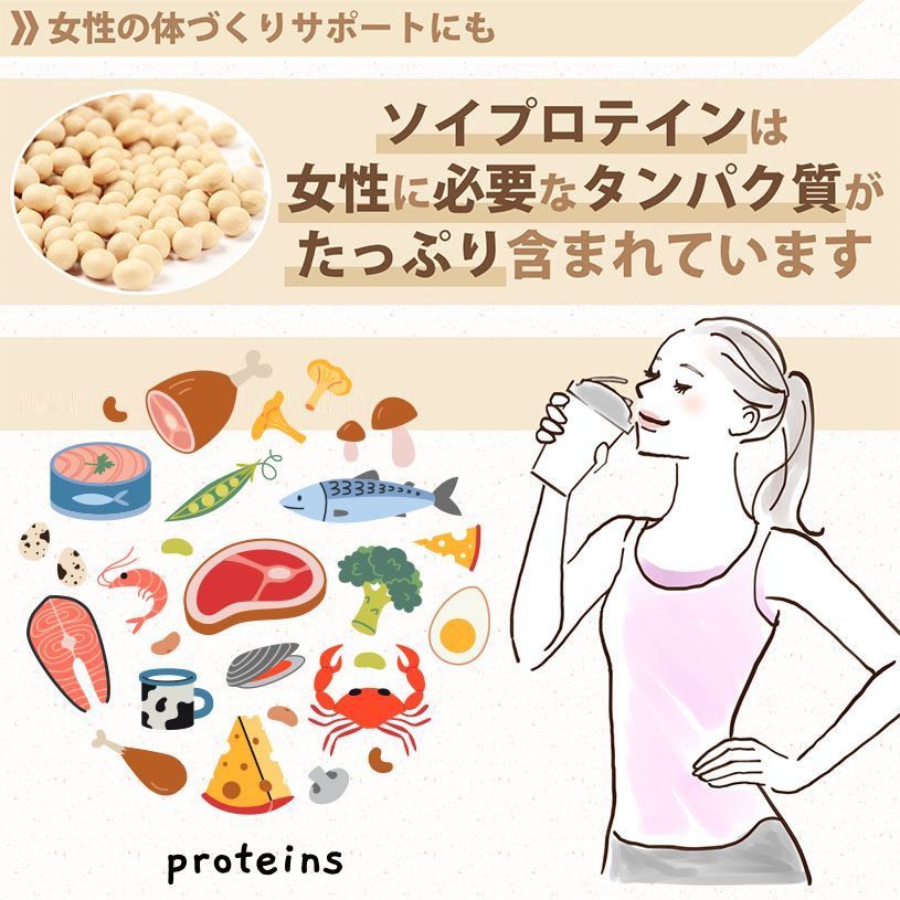 【NICHIGA／ニチガ公式】大豆プロテイン (国内製造) 500g ソイプロテイン100％ 新規製法採用 甘味料無添加 [01]