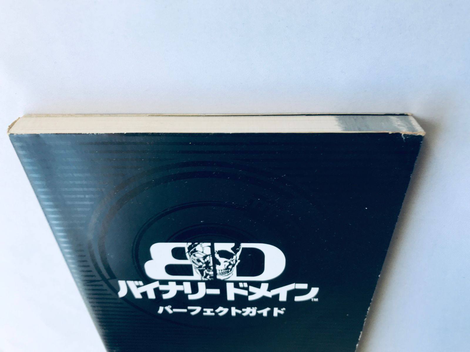 ZERO DIVIDE ゼロディバイド パーフェクトガイドブック/SS攻略本