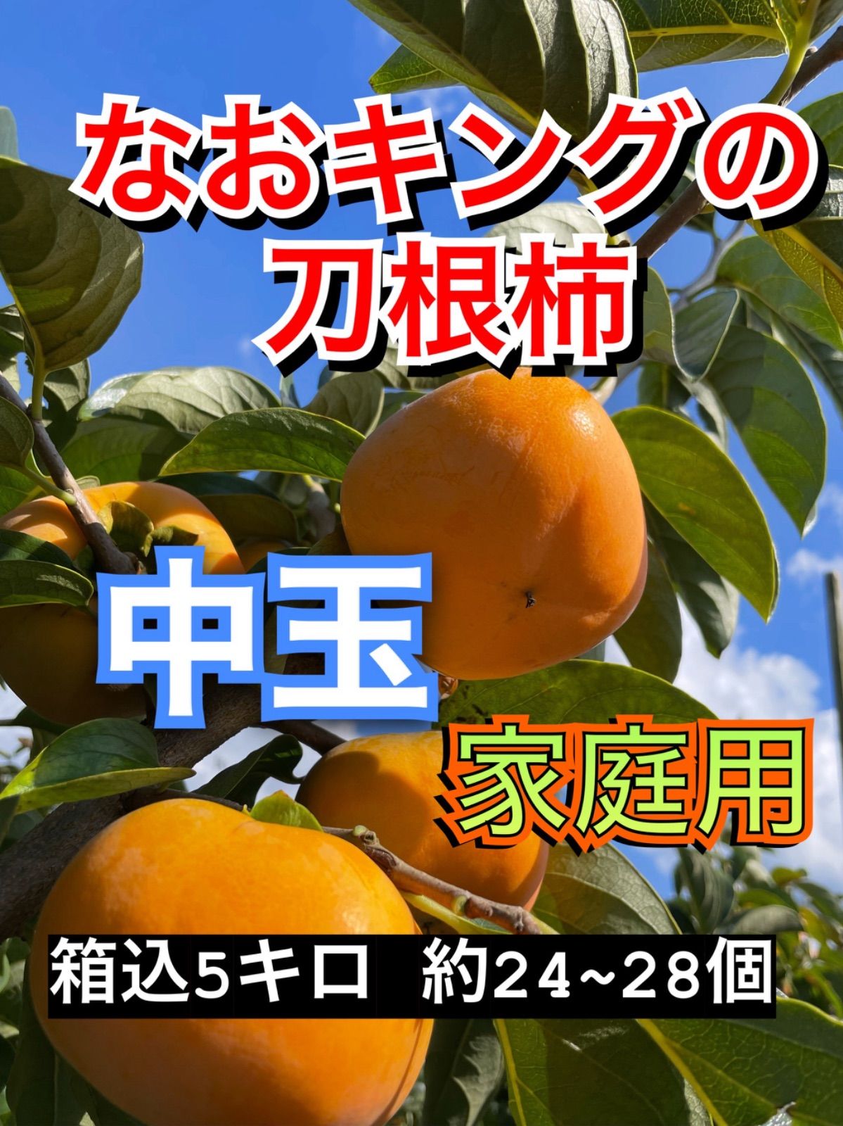 haruさん予約専用 白く 柿 箱込 5キロ 刀根柿 種無し 家庭用