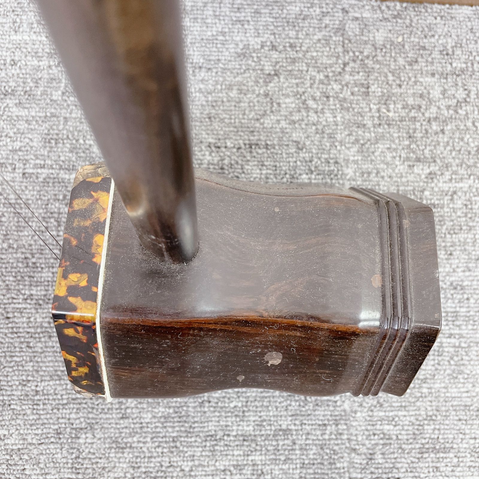 琴楽富庭ニシキ蛇皮