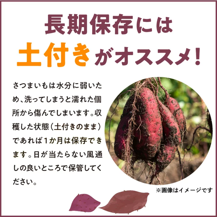 【減農薬】熟成紅はるか さつまいも 土付き 5kg 特大