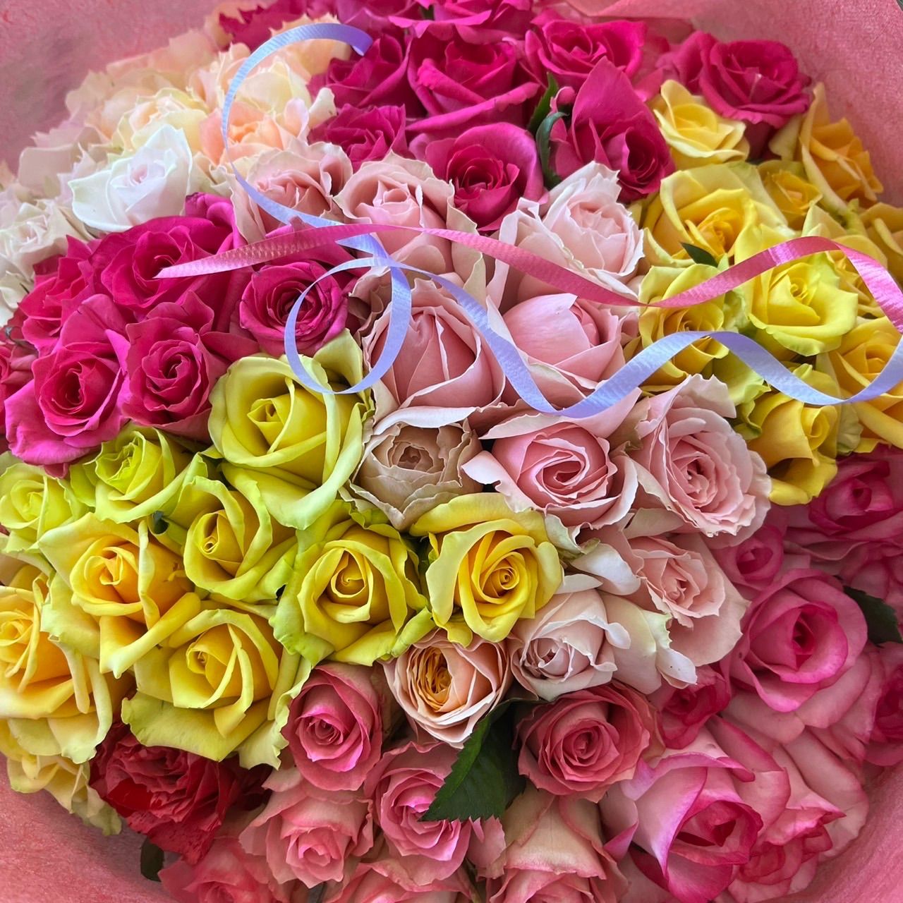 ＊100本の薔薇の花束＊30㎝ ×100本 おまかせミックス ラッピング＆メッセージカード込み 産地直販 鮮度抜群 結婚記念日 お誕生日プレゼント プロポーズ 大切な方へのギフト等に 切り花 生花 花束