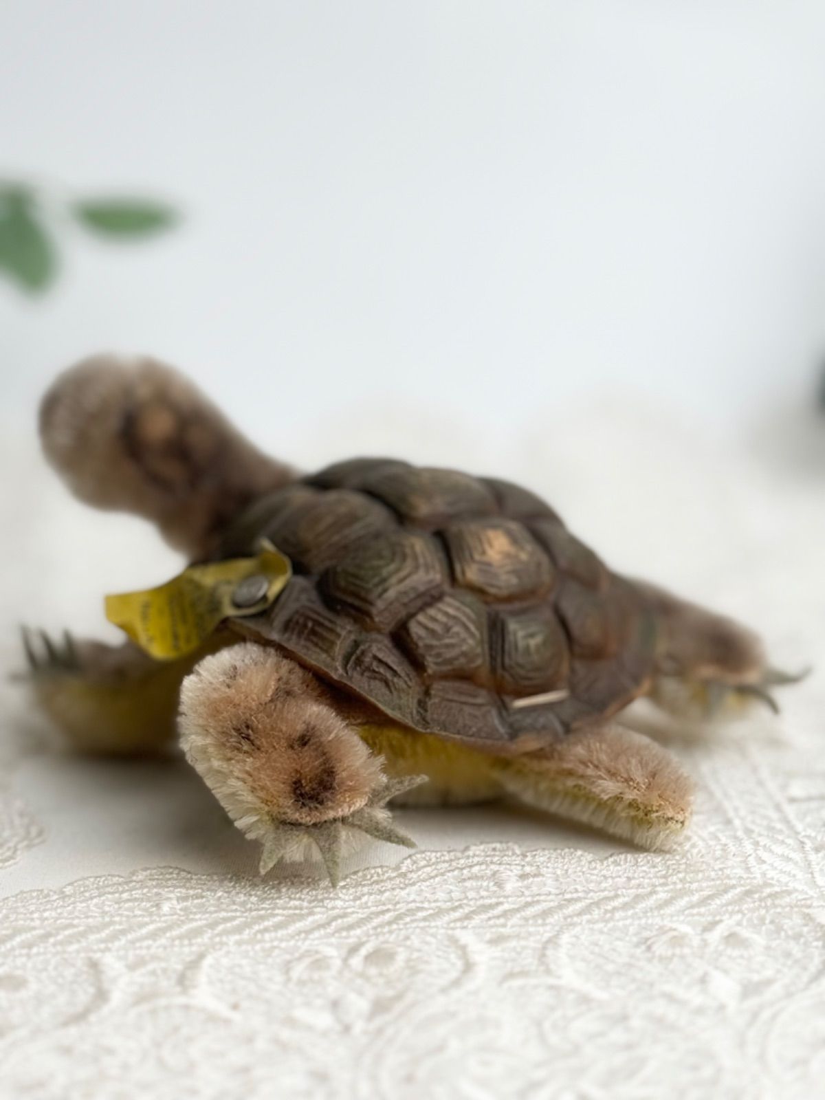 Steiff - シュタイフ★Slo Turtle★カメのソロ/タートル/亀★Steiff 送料無料☆シュタイフ☆Slo Turtle 10cm オールID's完品☆カメの