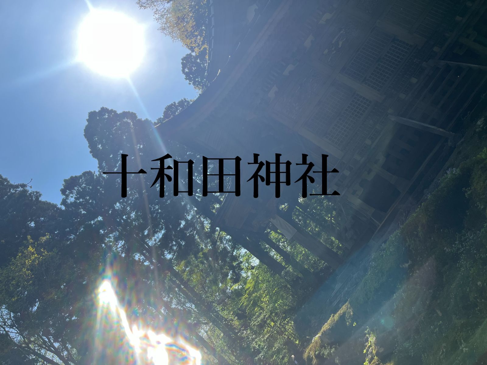 十和田湖 十和田神社 パワースポット 写真 龍神様 3枚セット