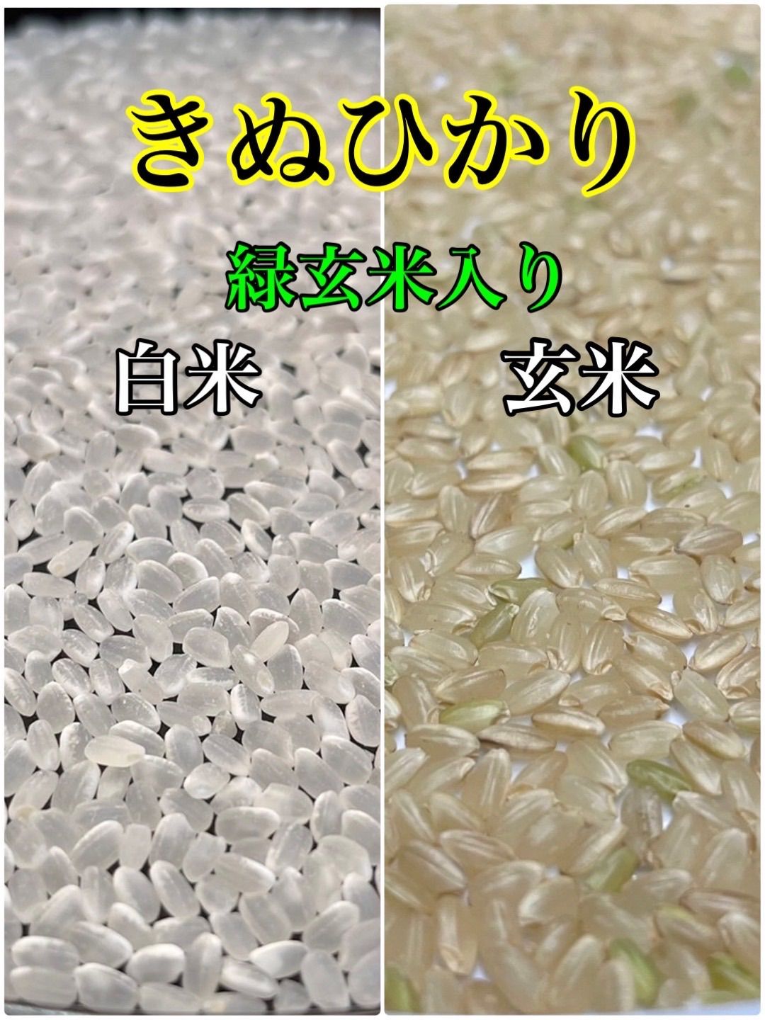 令和6年産 キヌヒカリ 白米10キロ 淡路島産 産地直送 - メルカリ
