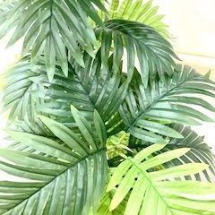 フェイクグリーン アレカヤシ