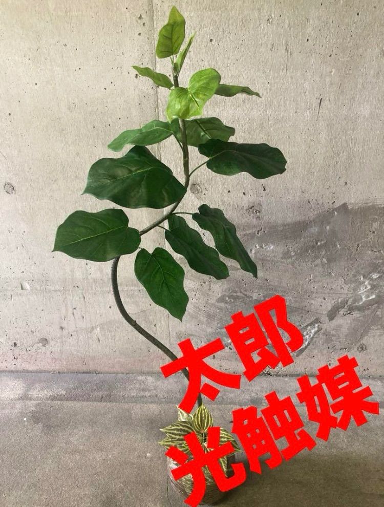 人工観葉・フェイクグリーン 光触媒 人工観葉植物 ウォールグリーン