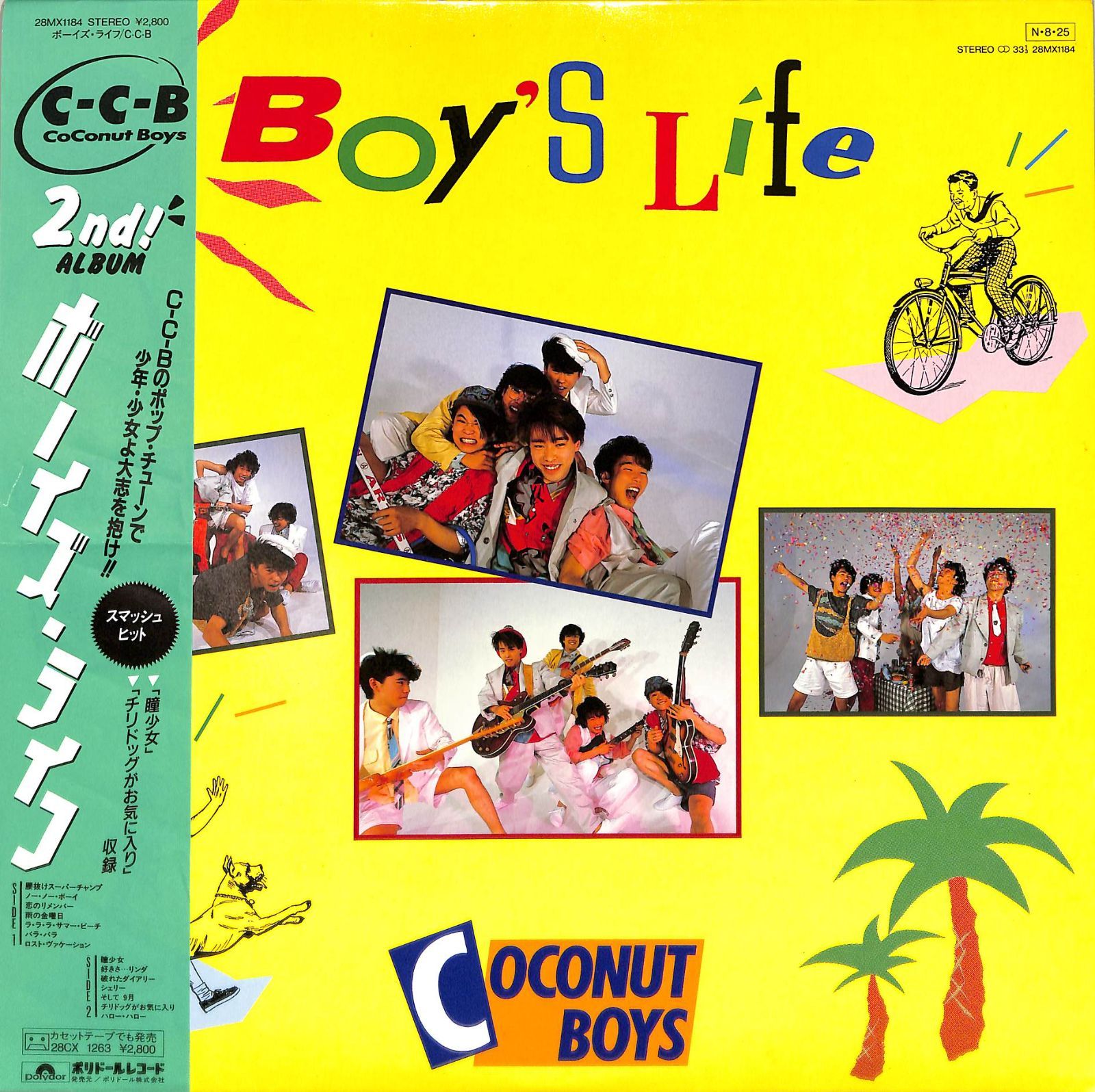 LP1枚 / COCONUT BOYS (ココナッツ・ボーイズ・C-C-B) / Boys