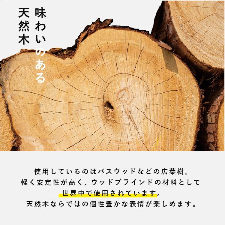 90W×100H